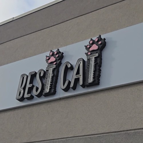 Best Cat — pet store in Burlington (photo 2)