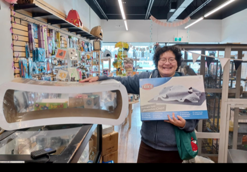 Best Cat — pet store in Burlington (photo 3)