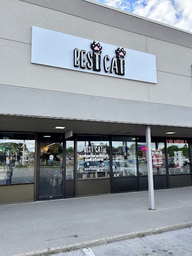 Best Cat — pet store in Burlington