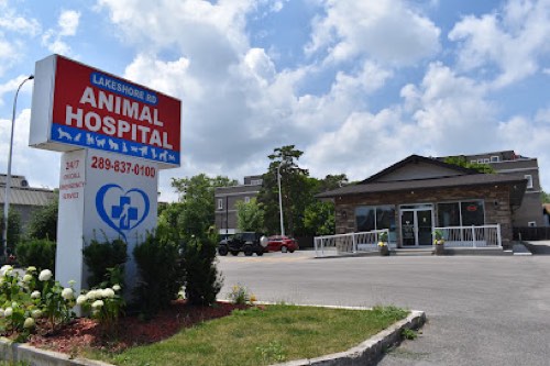 Lakeshore Road Animal Hospital — veterinary care in Oakville