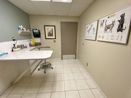 Animal Hospital of Oakville — veterinary care in Oakville (photo 2)