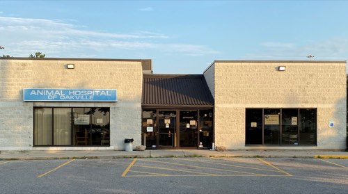 Animal Hospital of Oakville — veterinary care in Oakville (photo 3)