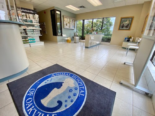 Animal Hospital of Oakville — veterinary care in Oakville