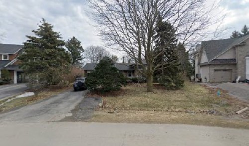 Hello Doggy — dog walking & pet sitting in Oakville