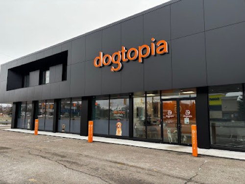 Dogtopia of Milton — pet grooming in Milton