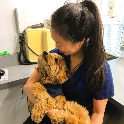 Animal Hospital of River Oaks — veterinary care in Oakville (photo 2)
