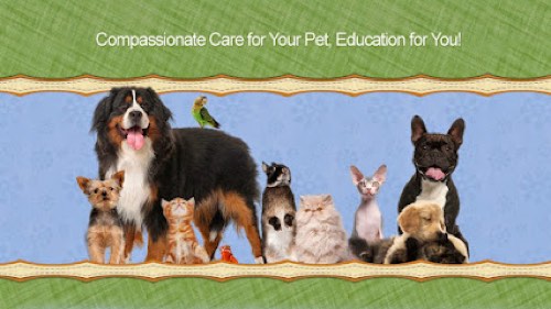 Animal Hospital of River Oaks — veterinary care in Oakville