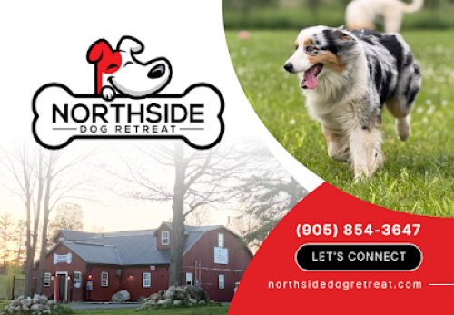 Northside Dog Retreat — dog walking & pet sitting in Milton