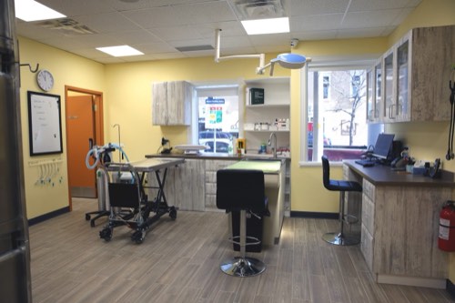Burlington Lakeshore Veterinary Hospital — veterinary care in Burlington (photo 2)