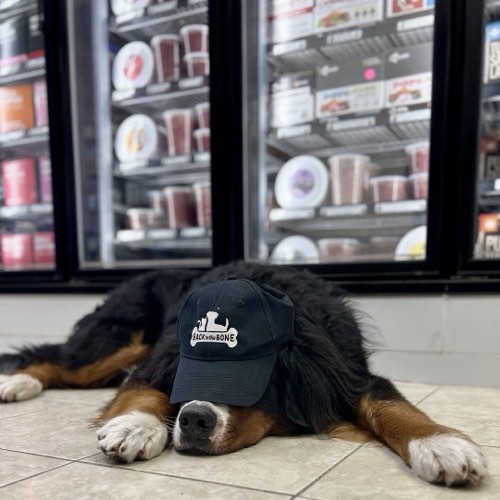Back To The Bone – Oakville — pet store in Oakville (photo 3)