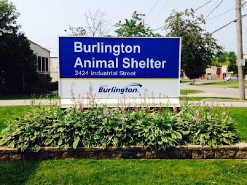 Burlington Animal Shelter — dog training in Burlington