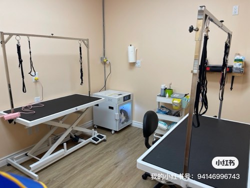 Paws Love Pet Grooming — pet grooming in Oakville (photo 3)