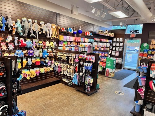 Bark & Fitz - South Oakville — pet grooming in Oakville (photo 2)
