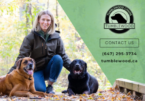Tumblewood Canine — dog training in Campbellville