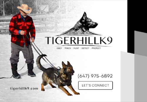 TigerhillK9 — dog training in Georgetown