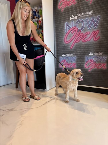 Splash and Dash Groomerie & Boutique — pet grooming in Burlington (photo 3)
