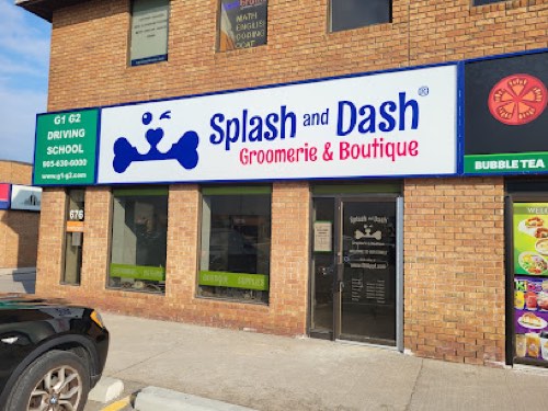 Splash and Dash Groomerie & Boutique — pet grooming in Burlington