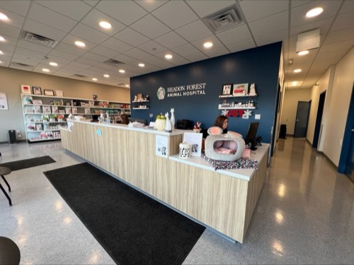 Headon Forest Animal Hospital — veterinary care in Burlington (photo 2)