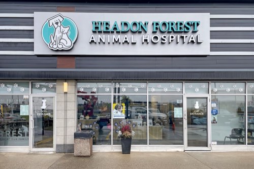 Headon Forest Animal Hospital — veterinary care in Burlington (photo 3)