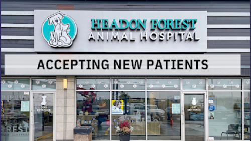 Headon Forest Animal Hospital — veterinary care in Burlington