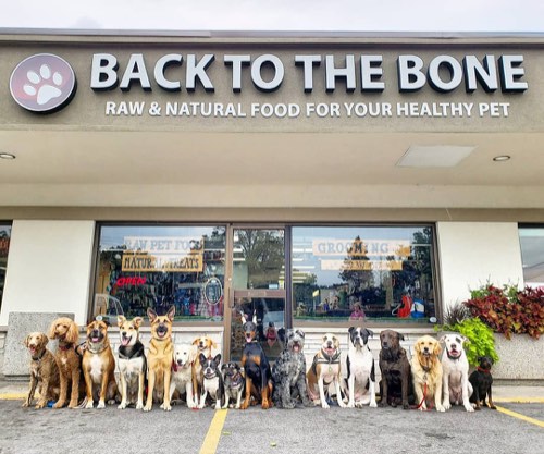 Back To The Bone - Burlington — pet grooming in Burlington (photo 2)