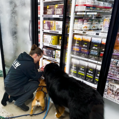 Back To The Bone - Burlington — pet grooming in Burlington (photo 3)
