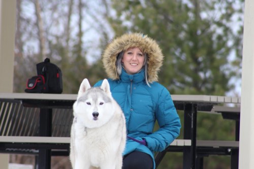 Paws In The Dirt Dog Training — dog training in Burlington (photo 2)