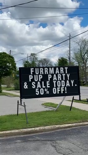FurrMart Pet Supplies — dog walking & pet sitting in Burlington (photo 2)