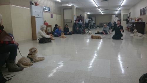 Lions Foundation of Canada Dog Guides — dog training in Oakville (photo 3)