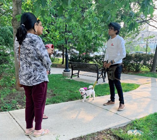 Pawblems Made Easy🐾 — dog training in Oakville