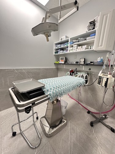 Foxcreek Animal Hospital — veterinary care in Oakville (photo 3)