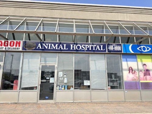 Foxcreek Animal Hospital — veterinary care in Oakville