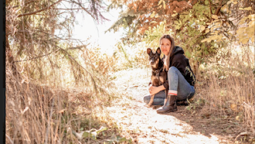 Suburban Paws — dog training in Oakville