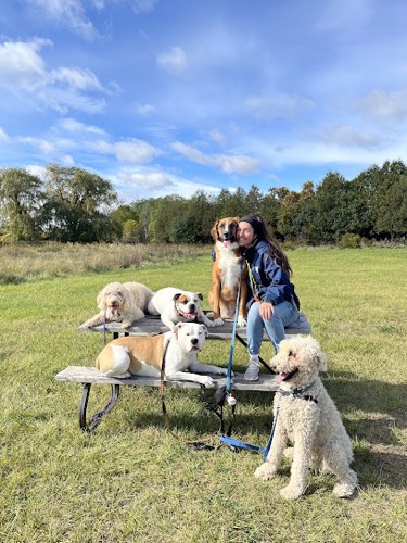 Tails and Trails Burlington — dog walking & pet sitting in Burlington