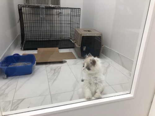 Lakeshore Woods Animal Hospital — veterinary care in Oakville (photo 3)