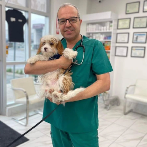 Lakeshore Woods Animal Hospital — veterinary care in Oakville