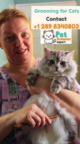 Furseason - Best Cat Grooming & Boarding in Oakville — pet grooming in Oakville (photo 2)