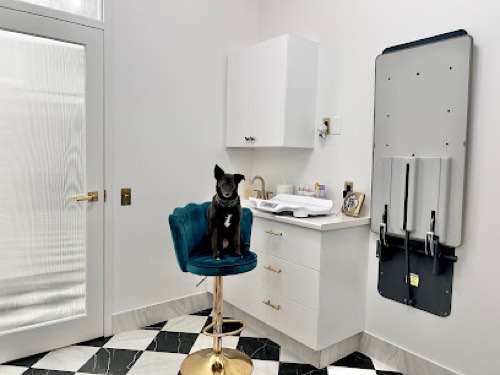 Alton Village Animal Hospital — veterinary care in Burlington