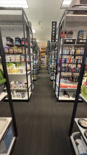 Pet O Pets - Burlington — pet grooming in Burlington (photo 3)