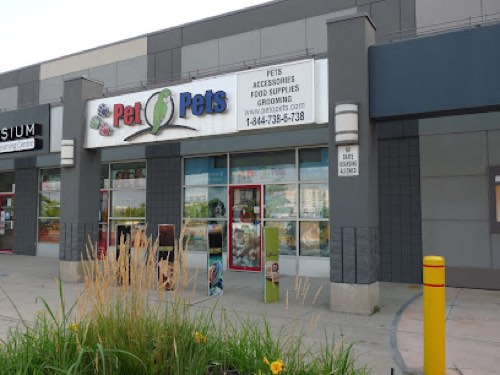 Pet O Pets - Burlington — pet grooming in Burlington