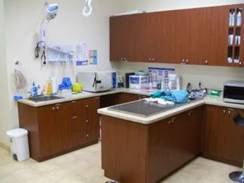 Derry Heights Animal Hospital — veterinary care in Milton (photo 3)