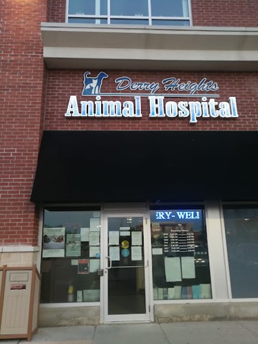 Derry Heights Animal Hospital — veterinary care in Milton