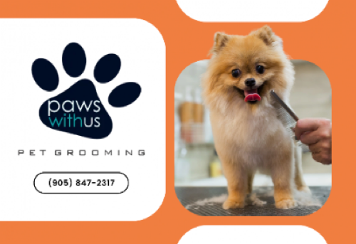 Paws with us pet grooming — pet grooming in Oakville