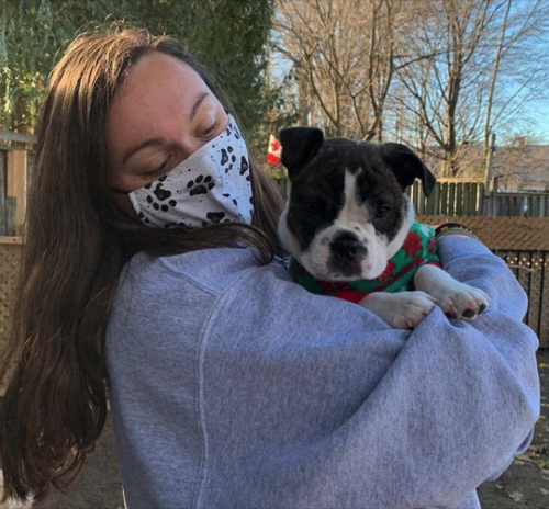 Wag With Me — dog training in Oakville (photo 3)