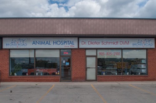 Bronte Road Animal Hospital — veterinary care in Oakville