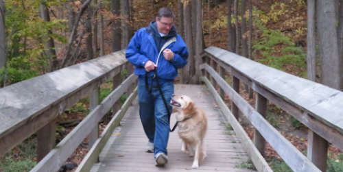 Best Friends Obedience Training — dog training in Milton