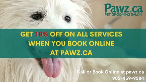 Pawz Pet Grooming Milton — pet grooming in Milton (photo 2)