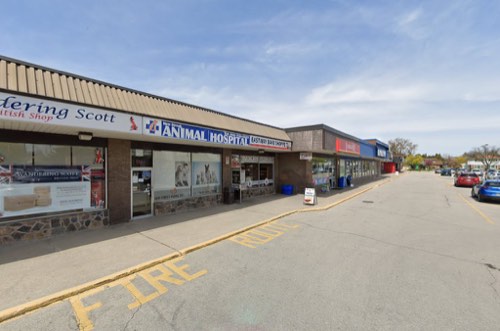 Harbour Ridge Animal Hospital — veterinary care in Burlington (photo 2)